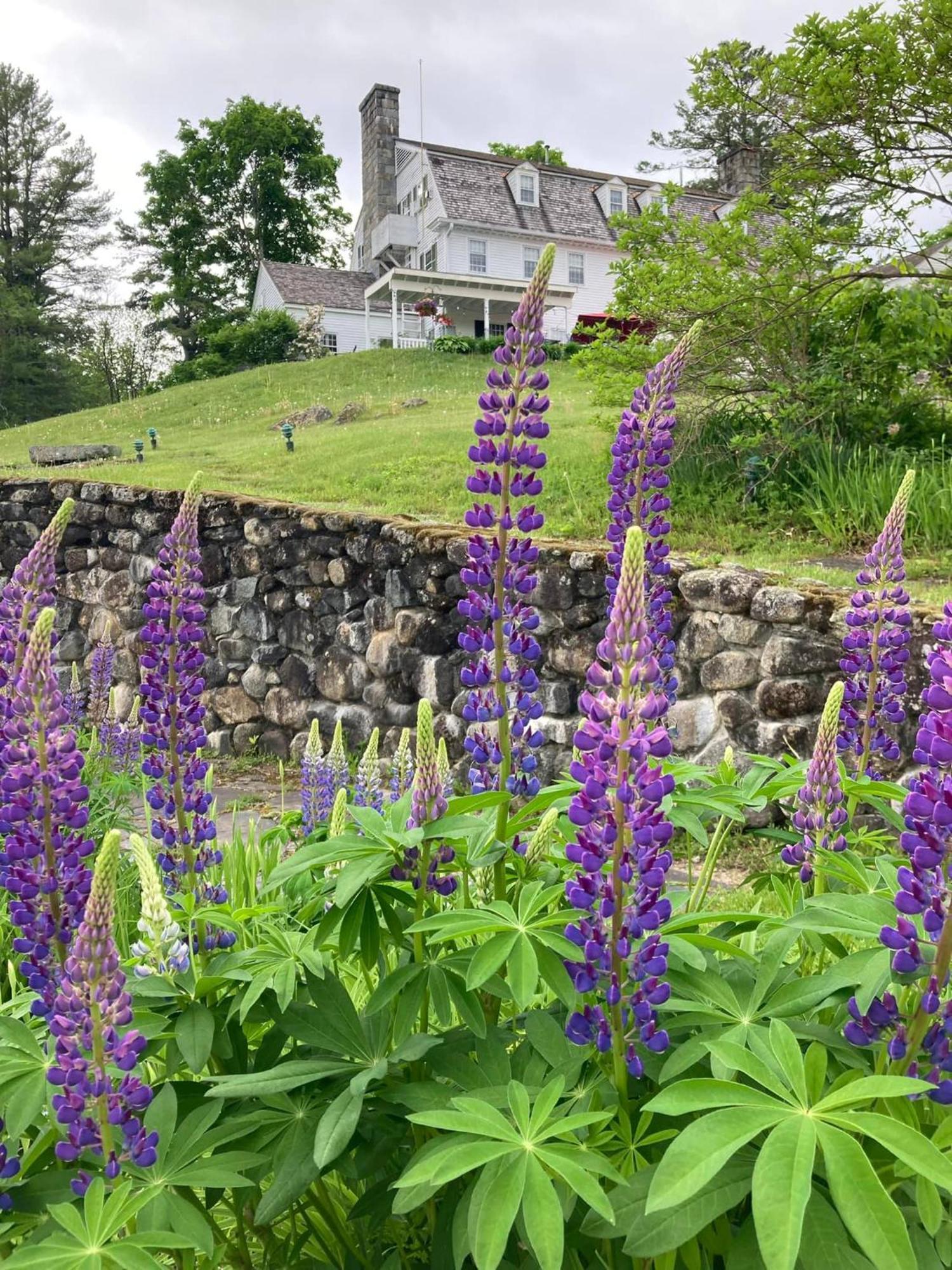 Adair Country Inn & Restaurant Bethlehem Exteriér fotografie